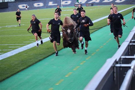 The Impact of Ralphie: Boosting Recruiting and Enrollment at the University